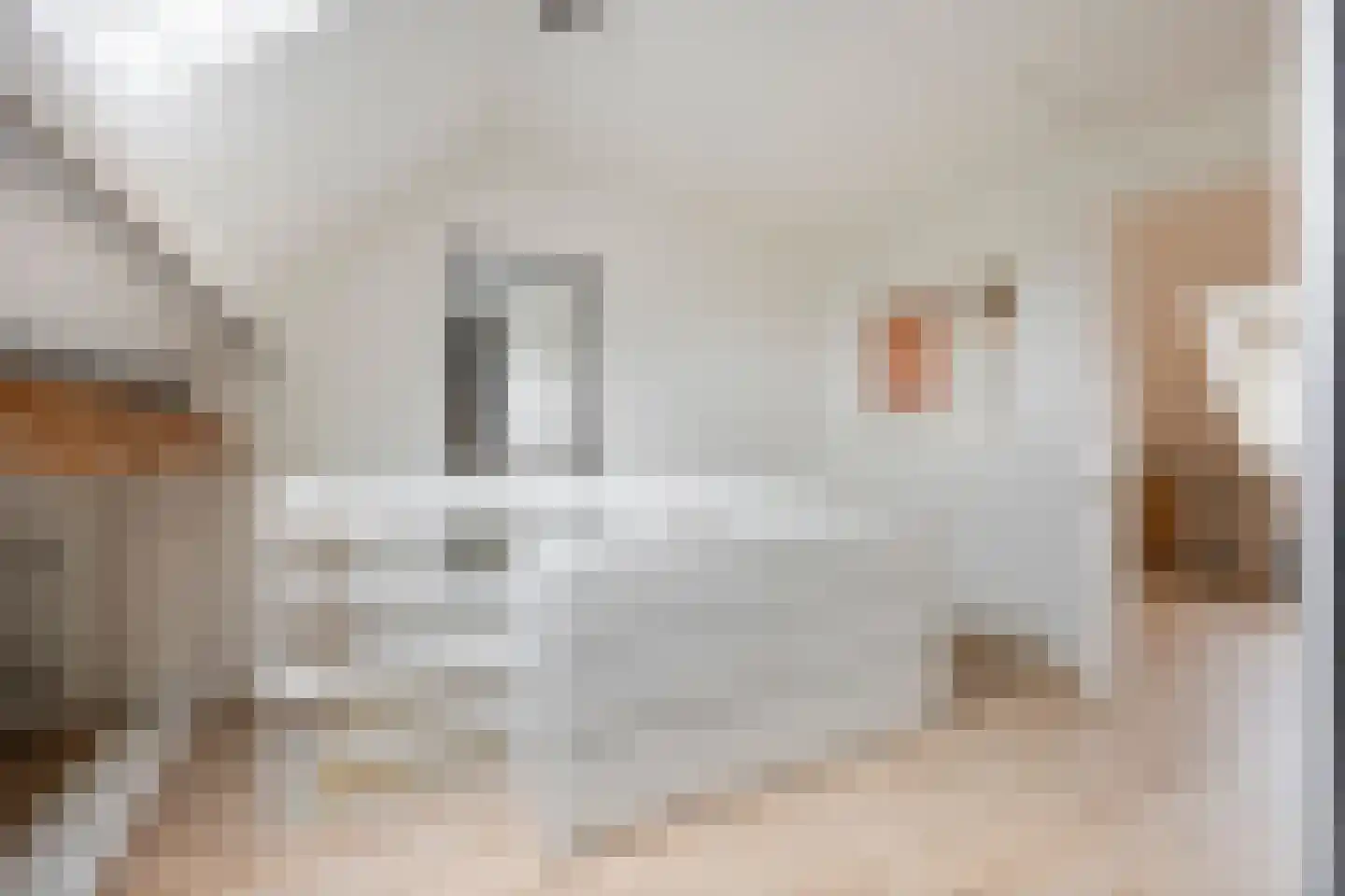 Prins Bernhardstraat 84 Oud-Beijerland thumbnail 19