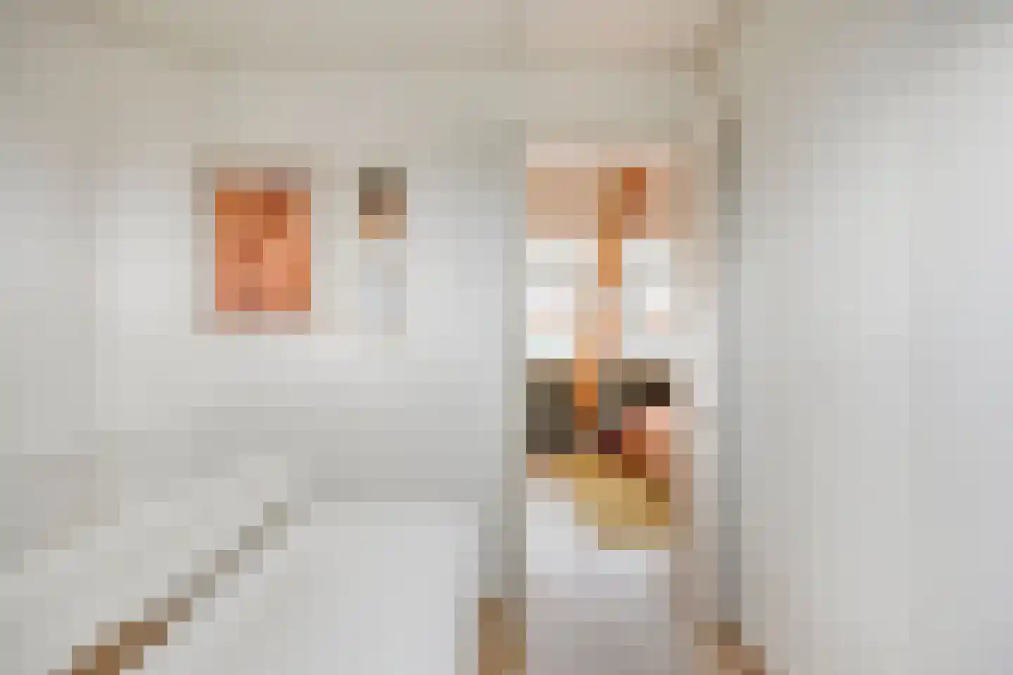 Prins Bernhardstraat 84 Oud-Beijerland thumbnail 20