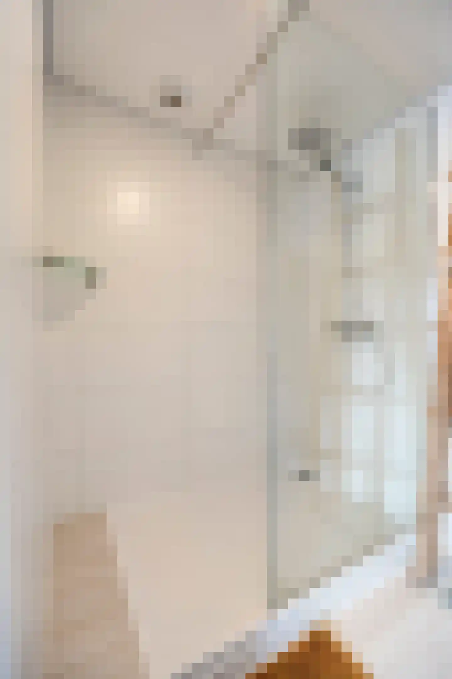Prins Bernhardstraat 84 Oud-Beijerland thumbnail 28