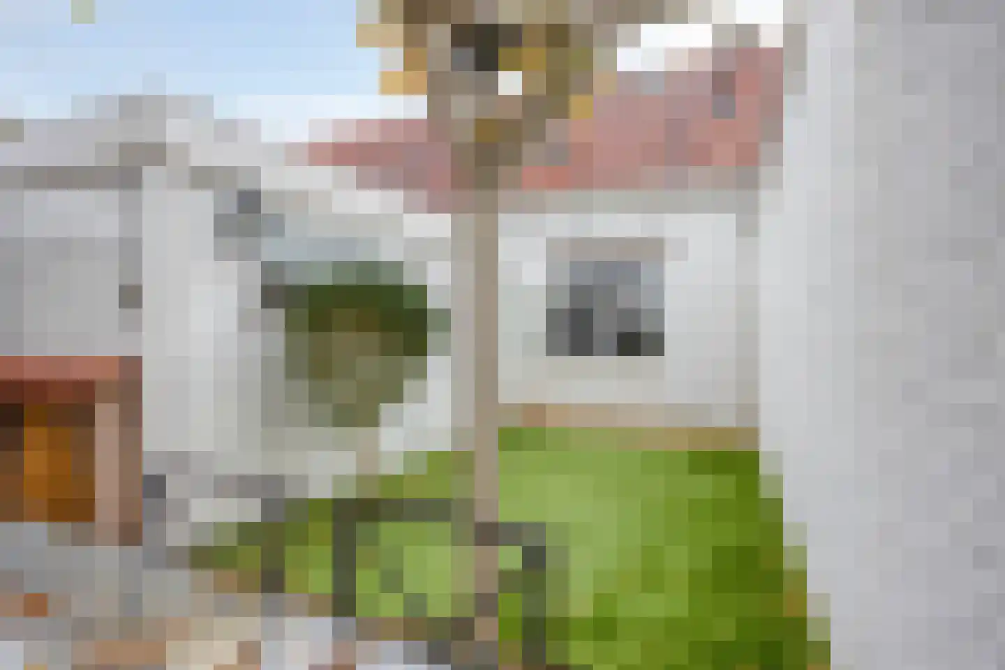 Prins Bernhardstraat 84 Oud-Beijerland thumbnail 32