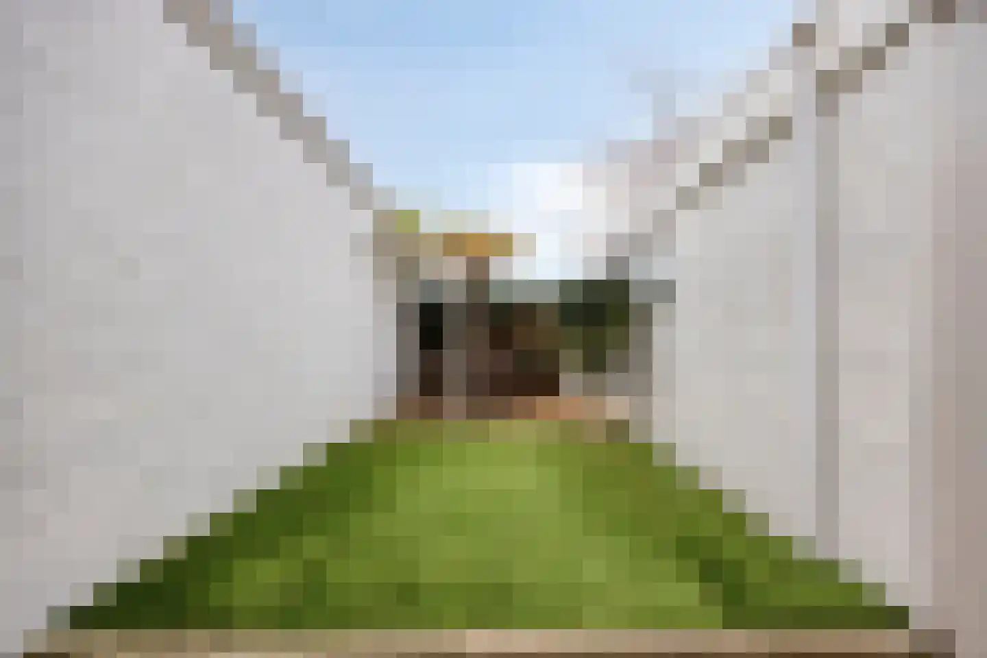Prins Bernhardstraat 84 Oud-Beijerland thumbnail 34