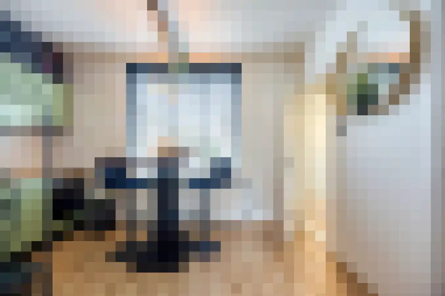 Prins Bernhardstraat 84 Oud-Beijerland thumbnail 9