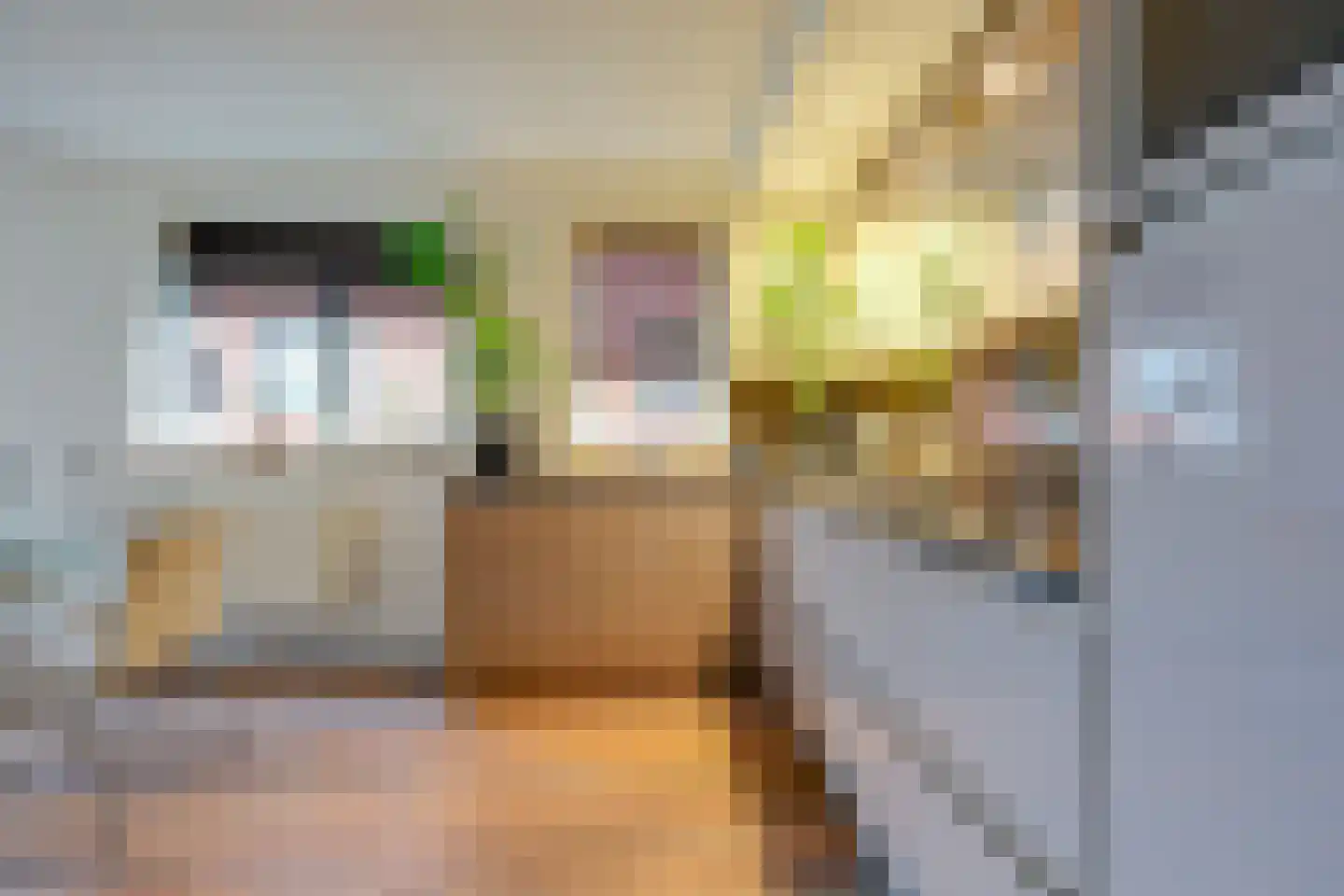 Prins Bernhardstraat 88 Hilversum thumbnail 12