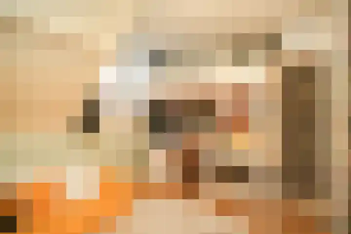 Prins Bernhardstraat 9 Culemborg thumbnail 26