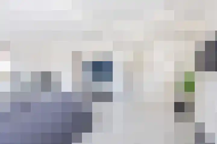 Prins Bernhardstraat 9 Dinxperlo thumbnail 11