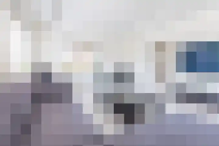 Prins Bernhardstraat 9 Dinxperlo thumbnail 12