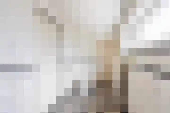 Prins Bernhardstraat 9 Dinxperlo thumbnail 24