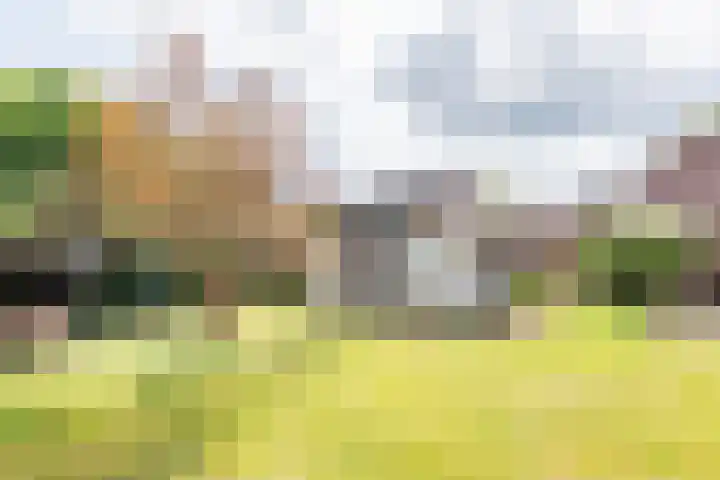 Prins Bernhardstraat 9 Dinxperlo thumbnail 43