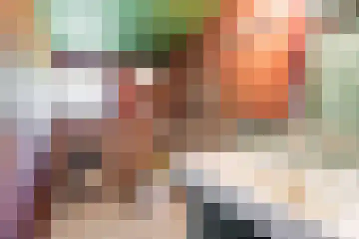Prins Bernhardstraat 9 Dinxperlo thumbnail 48