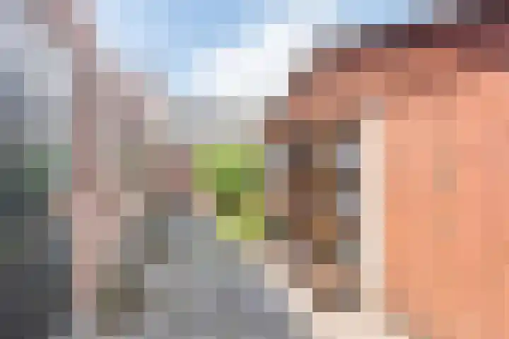 Prins Bernhardstraat 9 Dinxperlo thumbnail 50