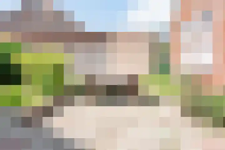 Prins Bernhardstraat 9 Dinxperlo thumbnail 52