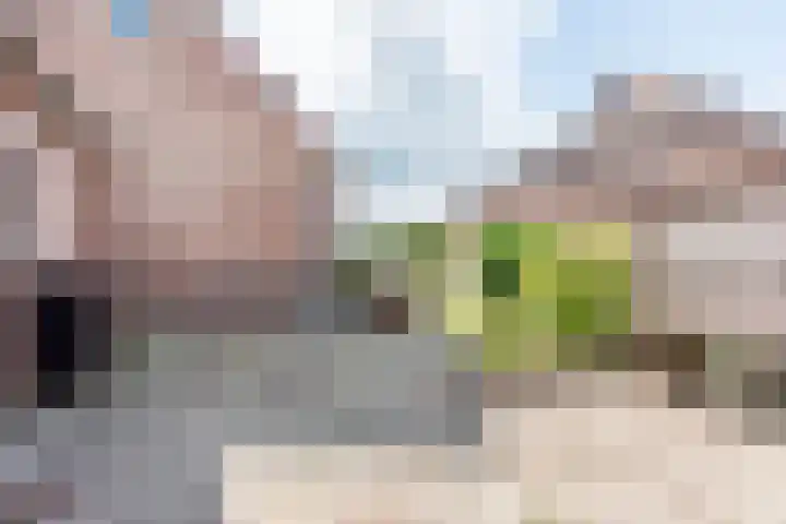 Prins Bernhardstraat 9 Dinxperlo thumbnail 53