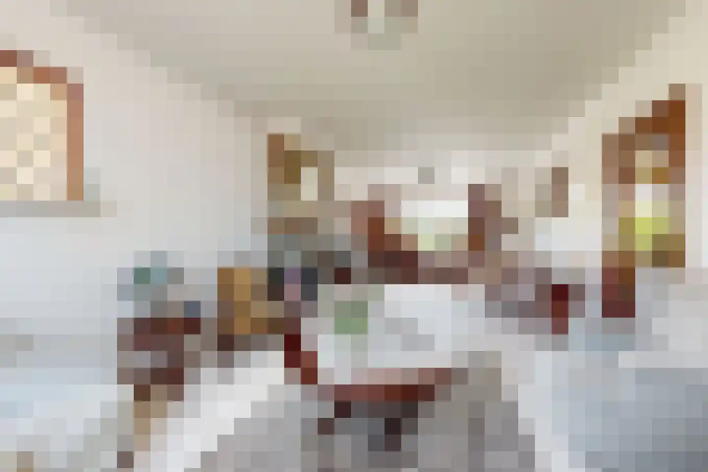 Prins Bernhardstraat 9 Fijnaart thumbnail 12