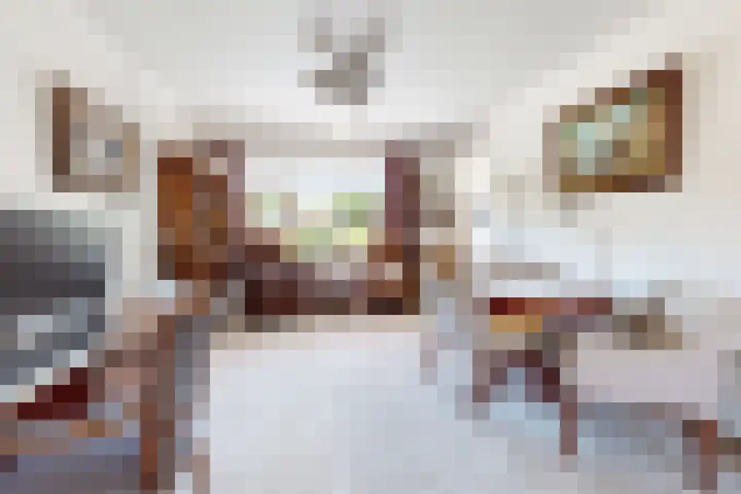 Prins Bernhardstraat 9 Fijnaart thumbnail 16