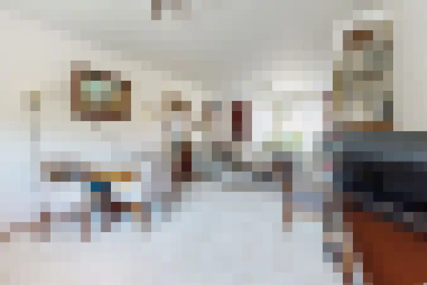 Prins Bernhardstraat 9 Fijnaart thumbnail 19