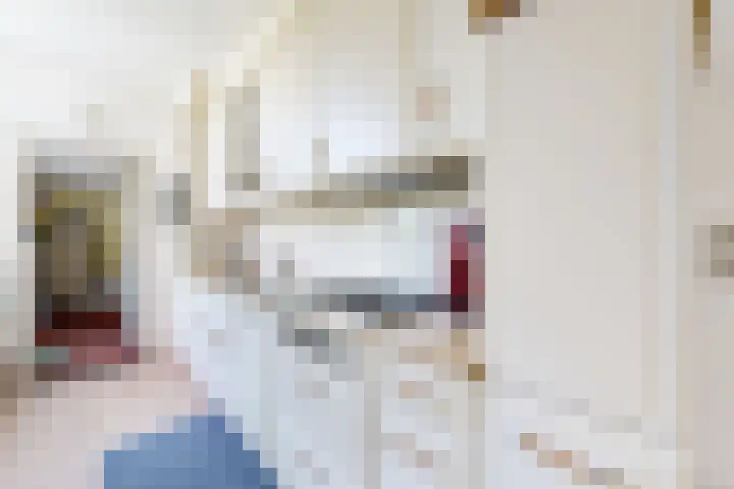 Prins Bernhardstraat 9 Fijnaart thumbnail 23