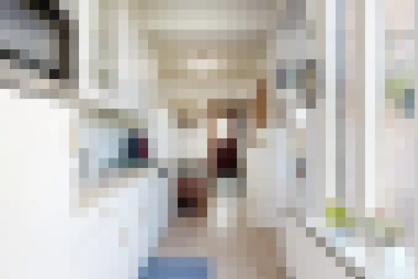 Prins Bernhardstraat 9 Fijnaart thumbnail 25