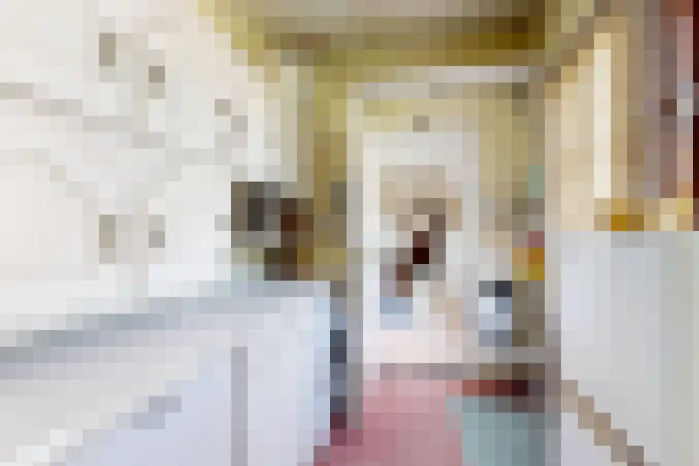 Prins Bernhardstraat 9 Fijnaart thumbnail 29
