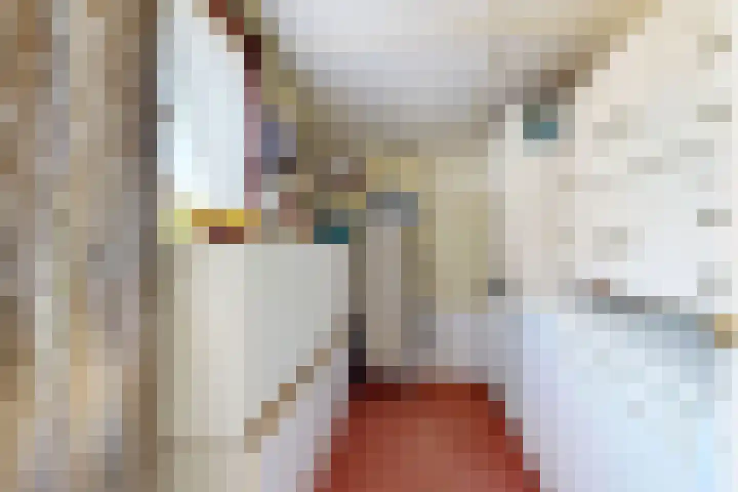 Prins Bernhardstraat 9 Fijnaart thumbnail 30