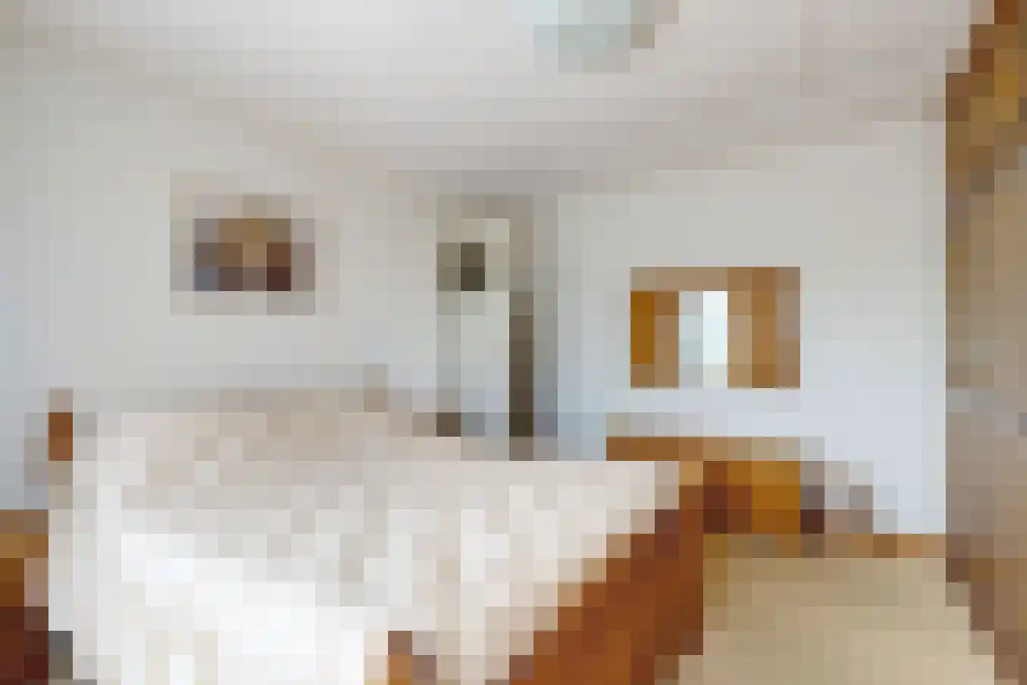 Prins Bernhardstraat 9 Fijnaart thumbnail 33