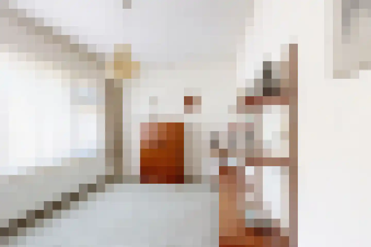 Prins Bernhardstraat 9 Fijnaart thumbnail 38