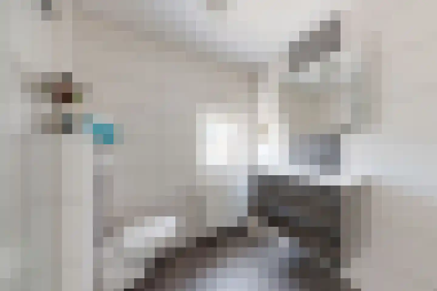 Prins Bernhardstraat 9 Fijnaart thumbnail 46