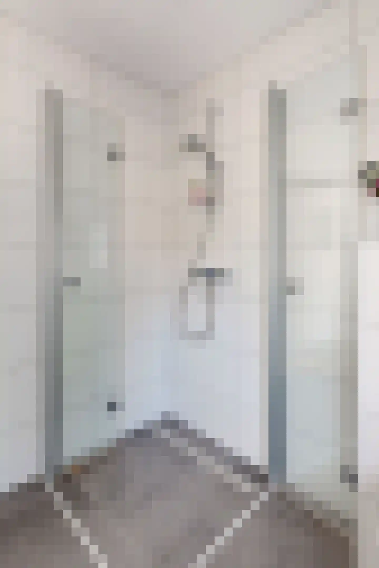 Prins Bernhardstraat 9 Fijnaart thumbnail 48