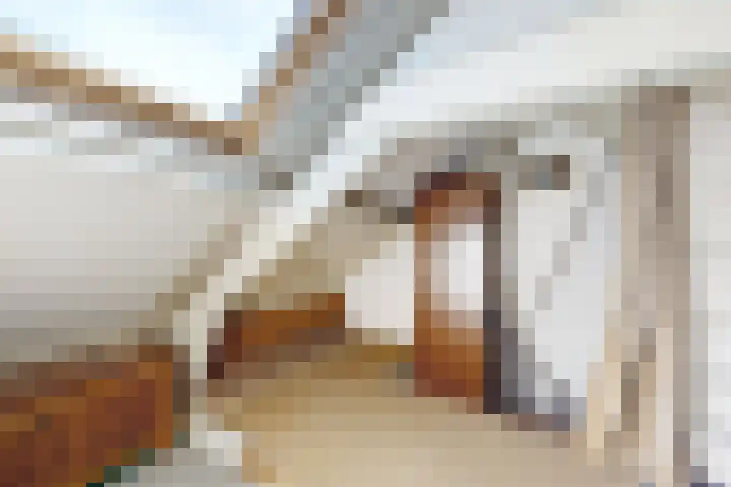 Prins Bernhardstraat 9 Fijnaart thumbnail 50