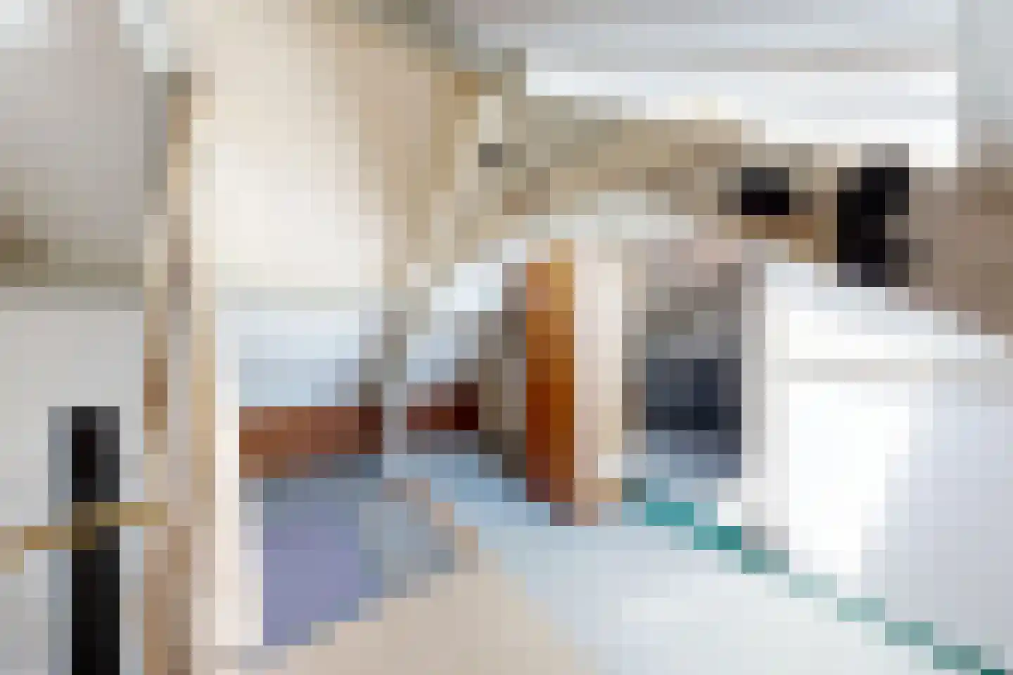 Prins Bernhardstraat 9 Fijnaart thumbnail 51