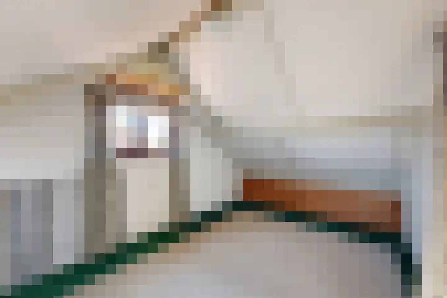Prins Bernhardstraat 9 Fijnaart thumbnail 55