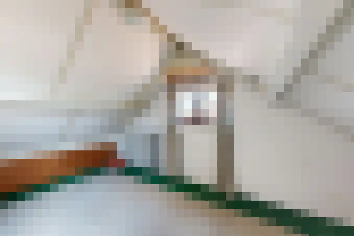 Prins Bernhardstraat 9 Fijnaart thumbnail 56