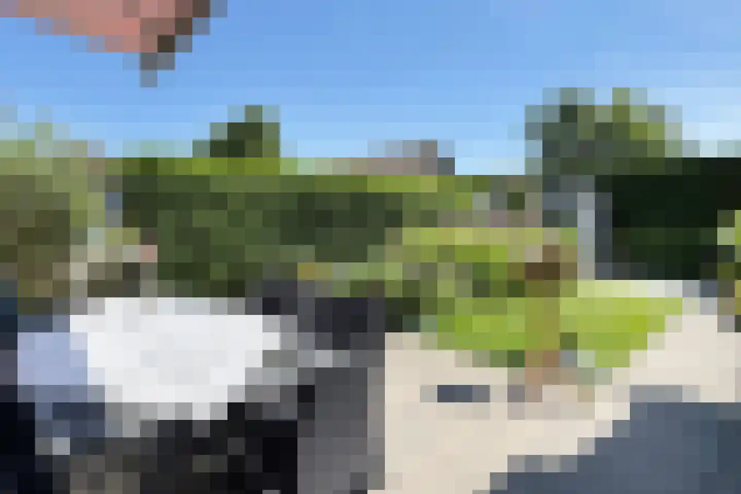 Prins Bernhardstraat 9 Fijnaart thumbnail 60
