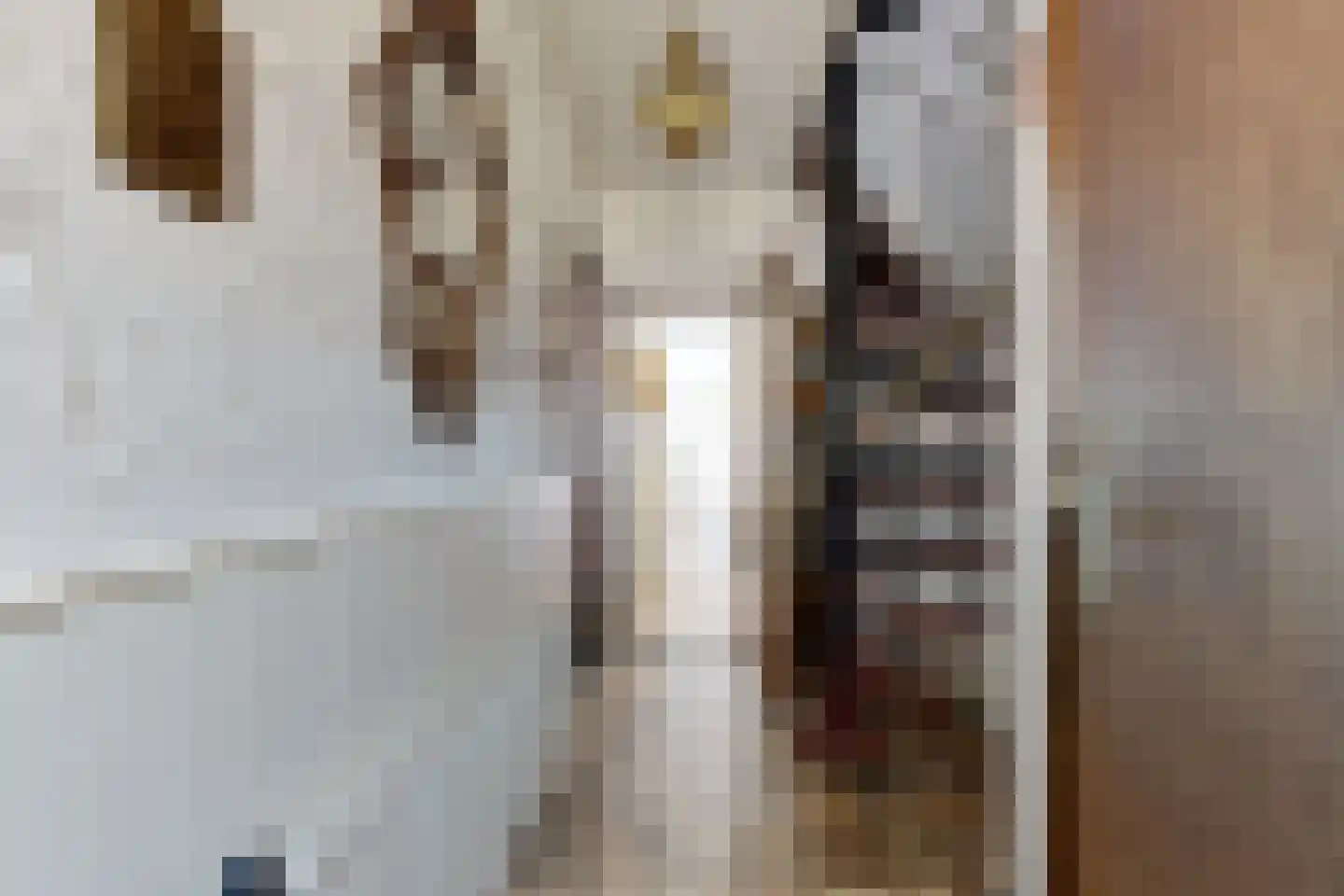 Prins Bernhardstraat 9 Fijnaart thumbnail 8