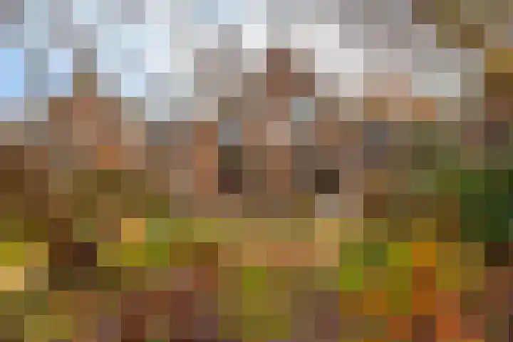 Prins Bernhardstraat 9 Hardinxveld-Giessendam thumbnail 32
