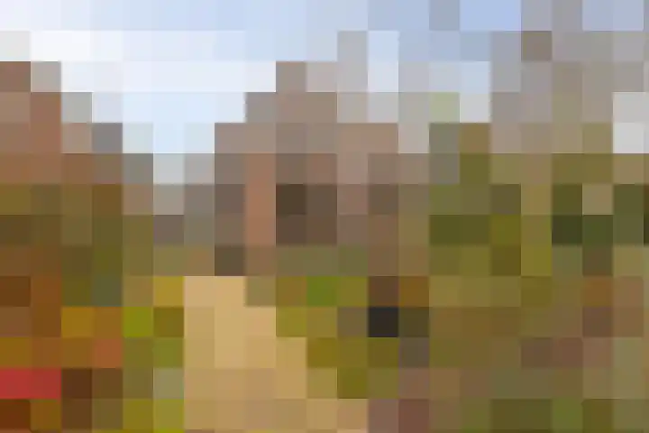 Prins Bernhardstraat 9 Hardinxveld-Giessendam thumbnail 33