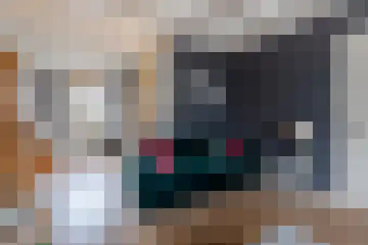 Prins Bernhardstraat 9 Hardinxveld-Giessendam thumbnail 5