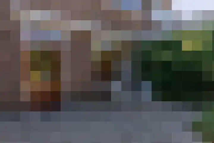 Prins Bernhardstraat 9 Heerjansdam thumbnail 31