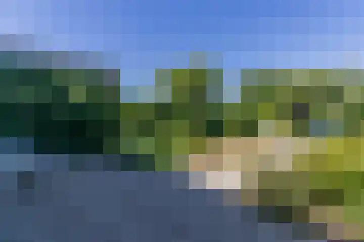 Prins Bernhardstraat 9 Heerjansdam thumbnail 32
