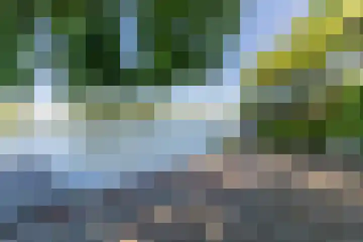 Prins Bernhardstraat 9 Heerjansdam thumbnail 38