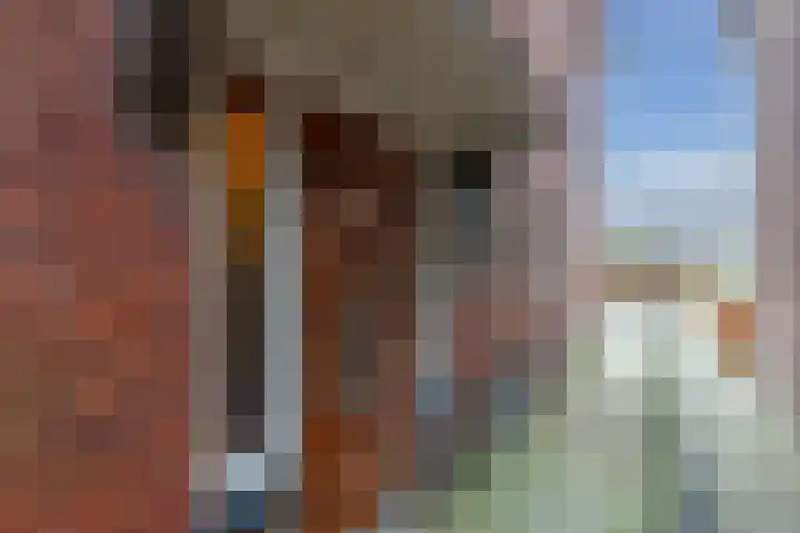Prins Bernhardstraat 9 Oldenzaal thumbnail 5