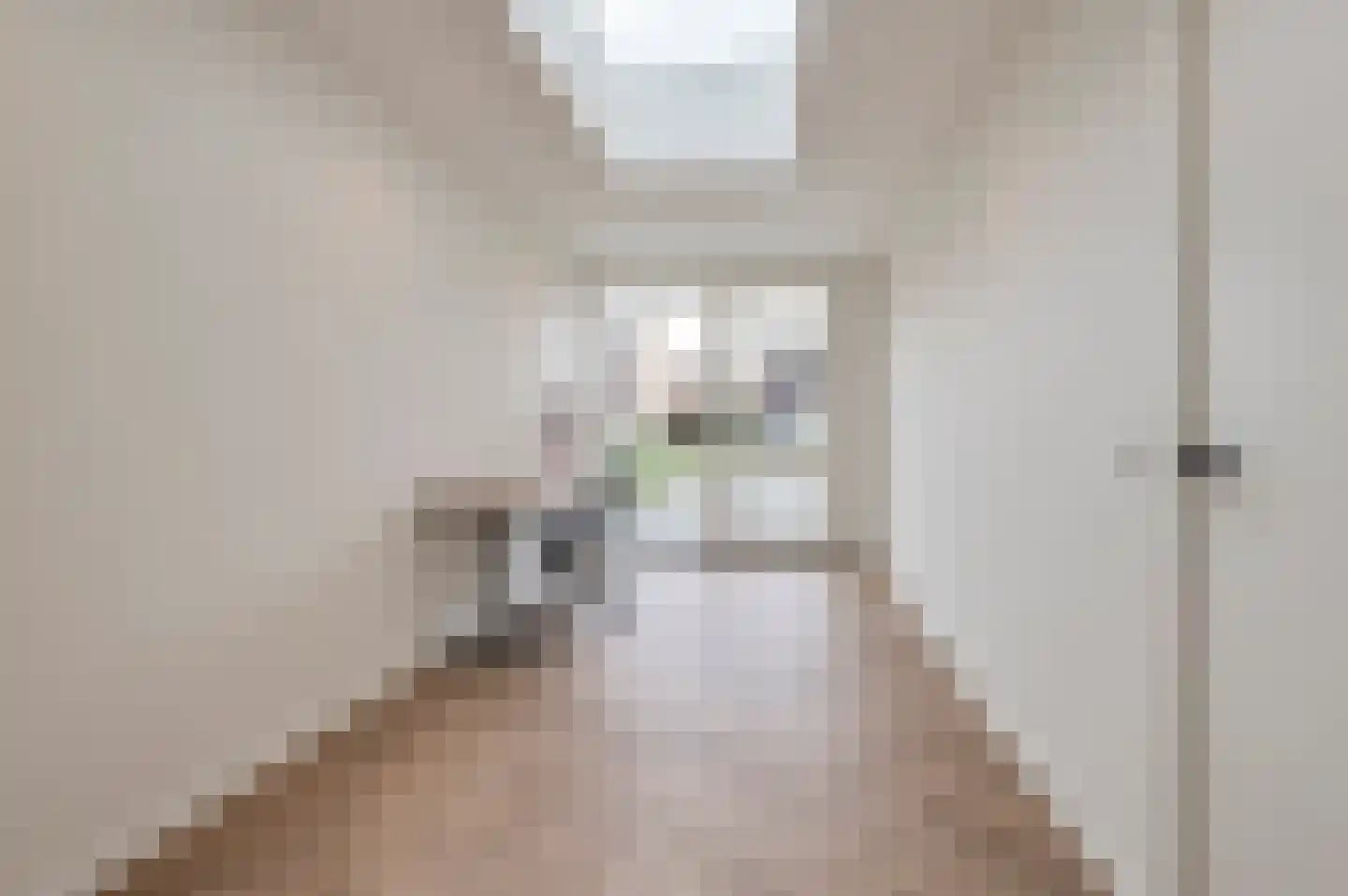 Prins Bernhardstraat 90 Culemborg thumbnail 24