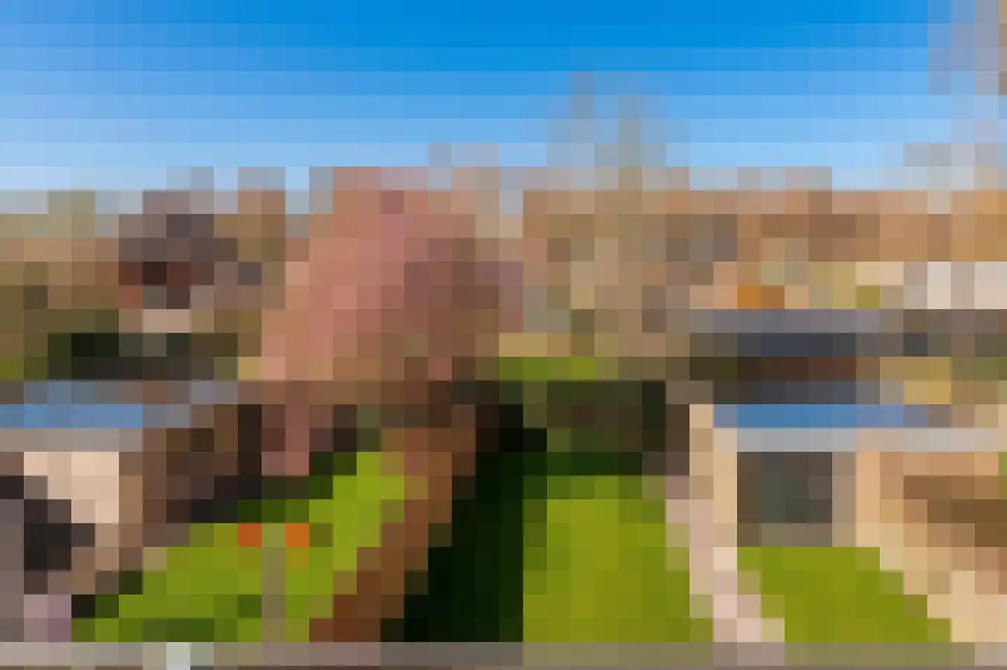 Prins Bernhardstraat 90 Culemborg thumbnail 46