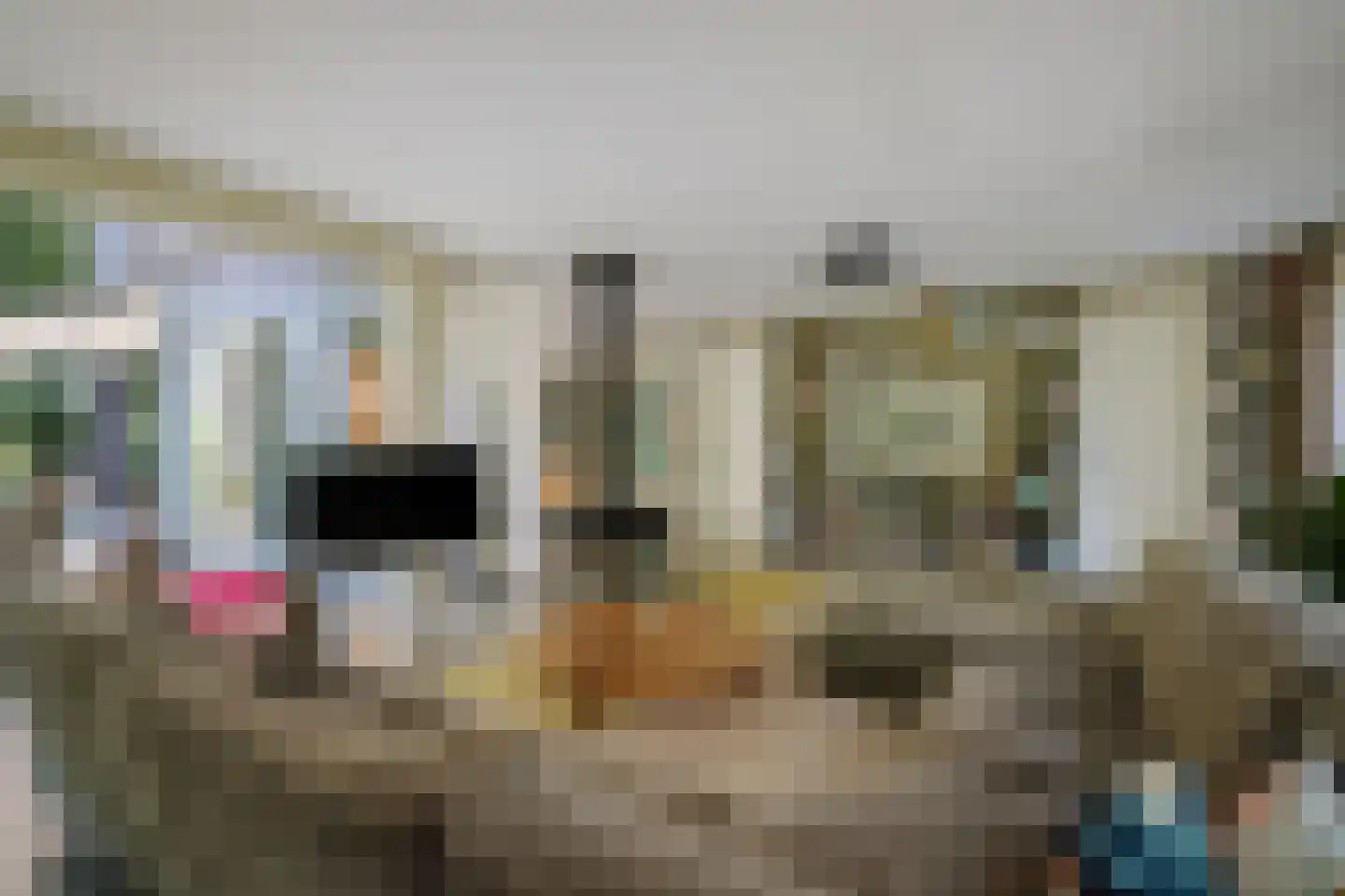 Prins Bernhardweg 1 A Schalkhaar thumbnail 12