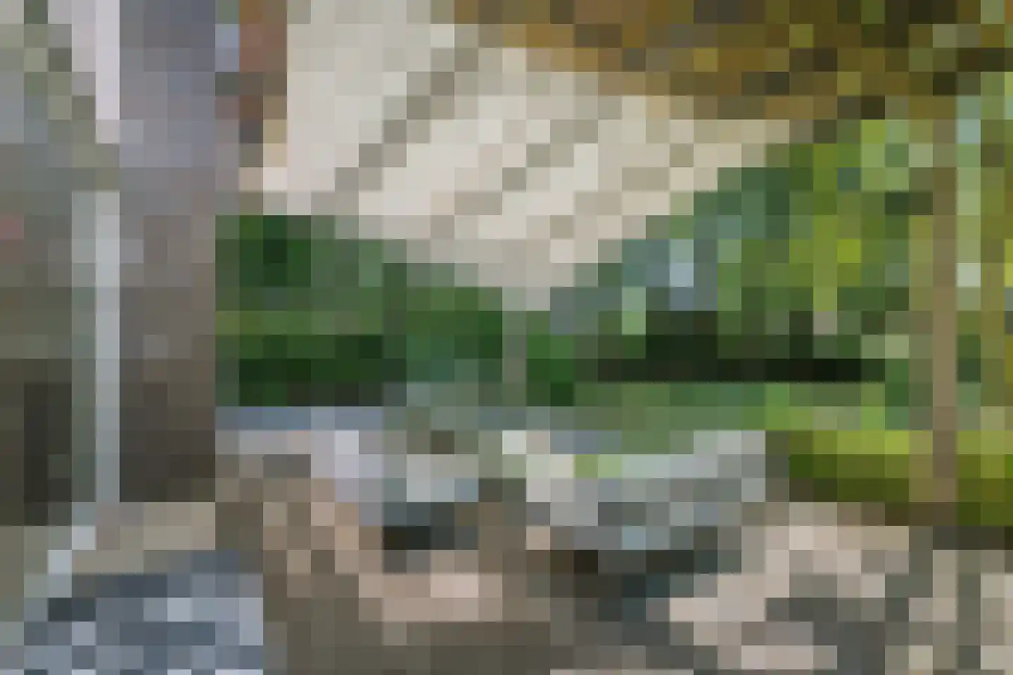 Prins Bernhardweg 1 A Schalkhaar thumbnail 17