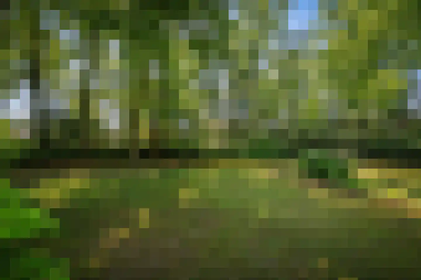 Prins Bernhardweg 1 A Schalkhaar thumbnail 19