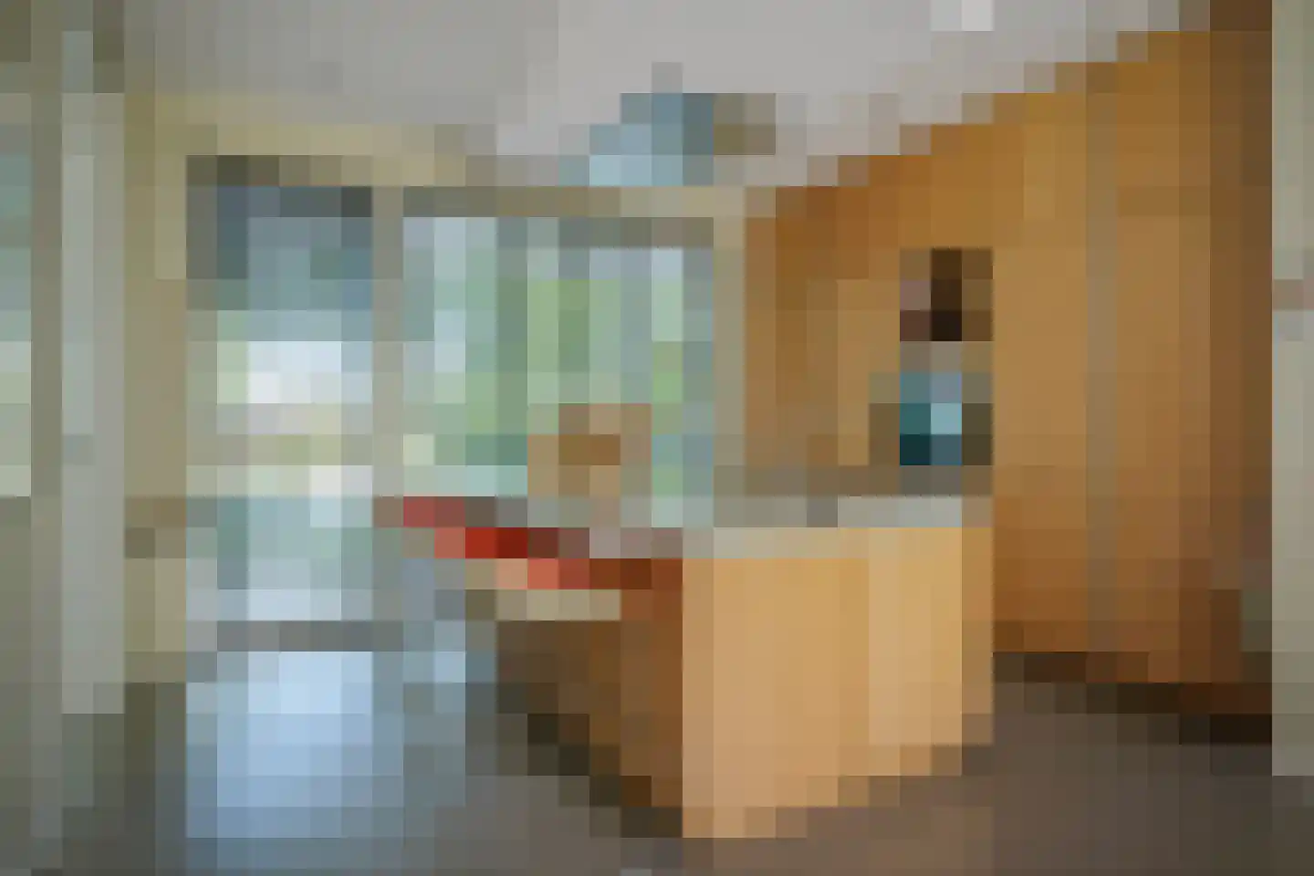 Prins Bernhardweg 1 A Schalkhaar thumbnail 26