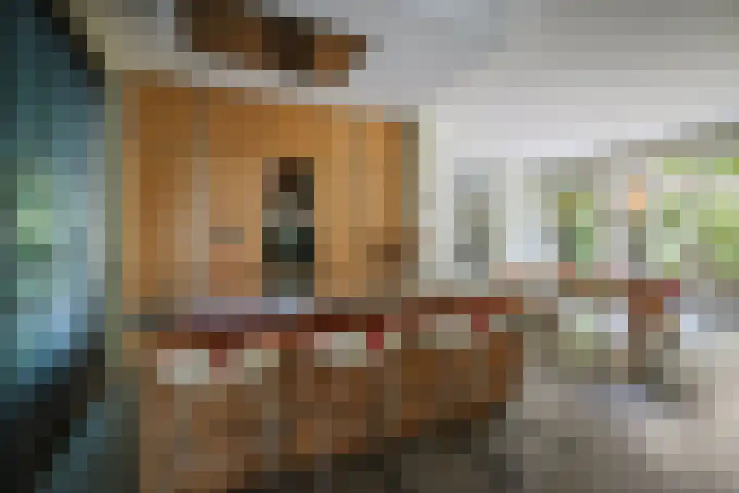 Prins Bernhardweg 1 A Schalkhaar thumbnail 27
