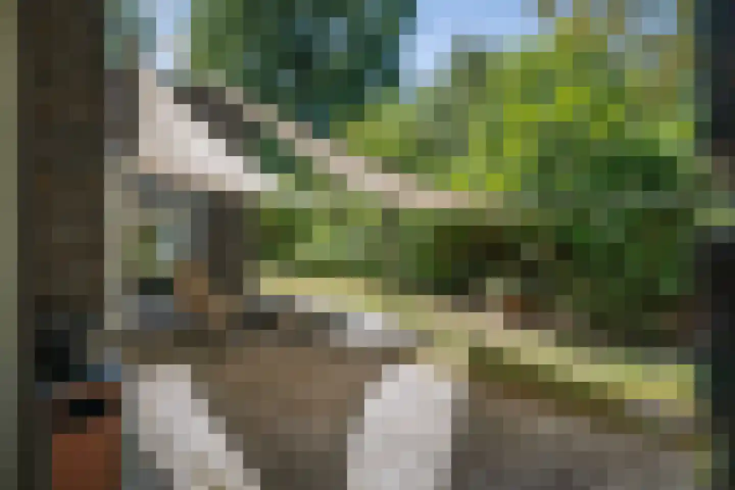 Prins Bernhardweg 1 A Schalkhaar thumbnail 32