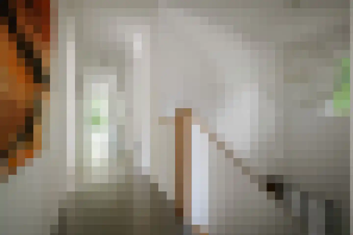 Prins Bernhardweg 1 A Schalkhaar thumbnail 34