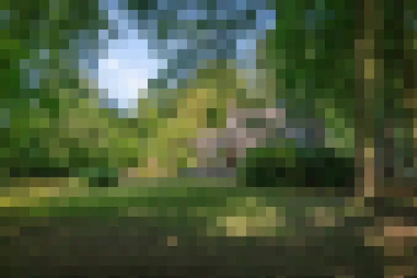 Prins Bernhardweg 1 A Schalkhaar thumbnail 49